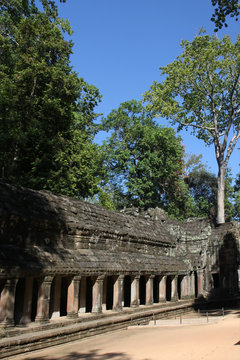 Un temple dans la forêt, temple de Ta Promh à Angkor