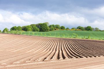 landscape with field, Fife, Scotland