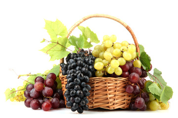 assortment of ripe sweet grapes in basket, isolated on white.