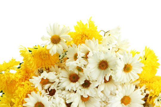 bouquet of beautiful daisies flowers, isolated on white