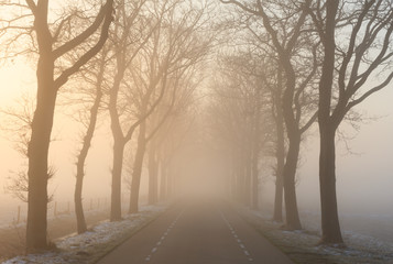 Foggy road