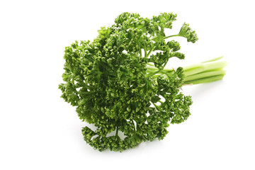 Fototapeta premium Herb Series - Parsley
