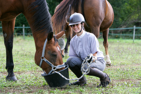 L-Cheval