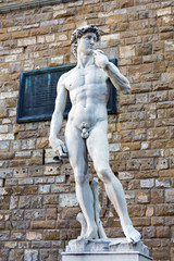 Naklejka premium Firenze David