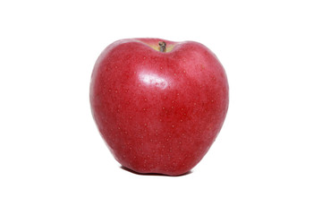 red apple in white background