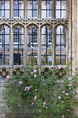 Fototapeta na wymiar Szczegół okna Kamieniarskie, Królewski College, Cambridge