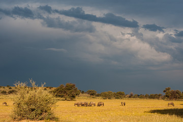 Kalahari storm