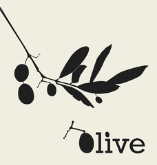 olive branch