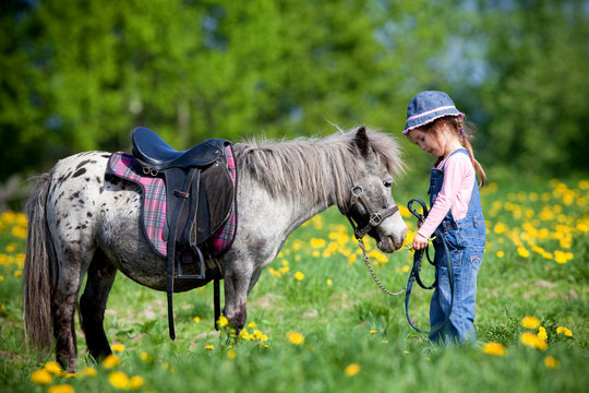 Child and small horse in the field at spring going to ride.