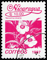 Postage stamp Nicaragua 1987 Tecoma Stans, Vine, Flower