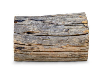 Old log isolated on white