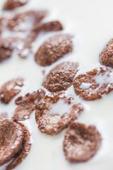 chocolate breakfast flakes
