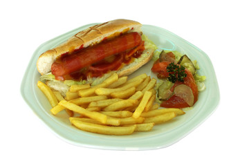 Hotdog and Fries on Plate