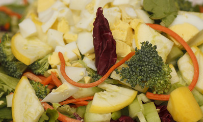Fresh Salad with Vegetables and Boiled Egg