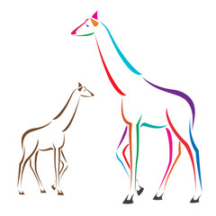 Vector image of an giraffe