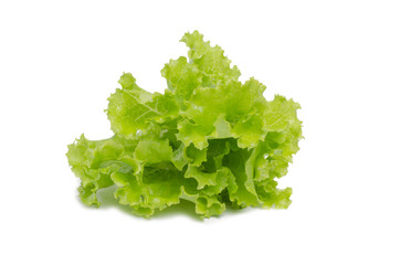 Lettuce isolated on white background