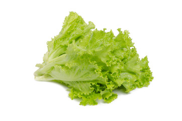 Lettuce isolated on white background