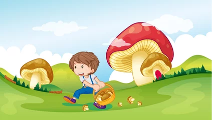 Washable wall murals Magic World A kid and the mushrooms