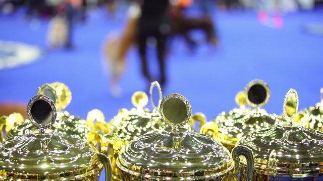 prize cups at unfocused background with people and dogs
