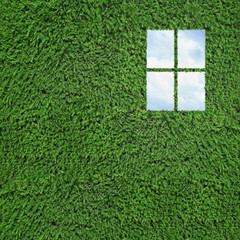 wall of green tree and window
