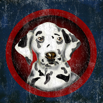 Dalmatian