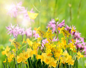 Happ Easter: spring awakening © doris oberfrank-list