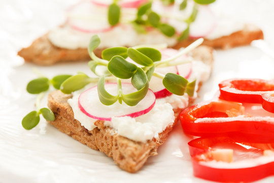 sandwiches with radish and sunflower sprouts