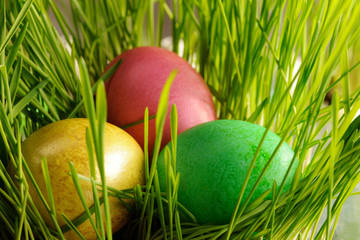 Colored easter eggs