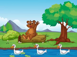 Wall murals River, lake A smiling bear and ducks