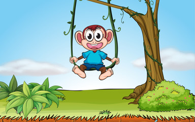 Un singe qui joue