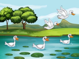 Peel and stick wall murals River, lake Ducks and water