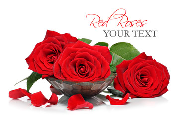 Red roses and petals in a wooden spa bowl