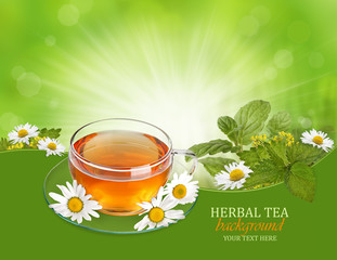 Herbal tea background with herbs and chamomile