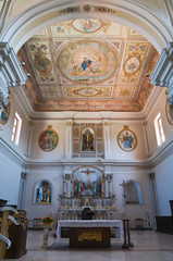 Obraz na płótnie Canvas Kościół św Michele Arcangelo. Trecchina. Basilicata. Włochy.