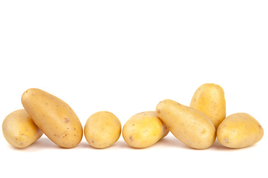 Kartoffel Freisteller VI