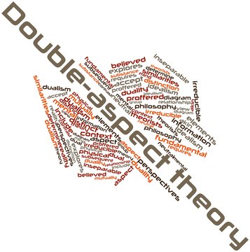 Word cloud for Double-aspect theory