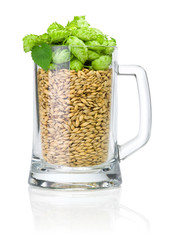 Mug for beer full of barley and hops isolated on white backgroun