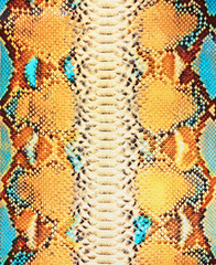 Snake skin background