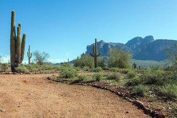 Auf dem Apache-trail in Arizona