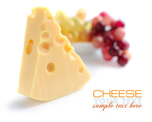 Piece of cheese is with vine on a white background