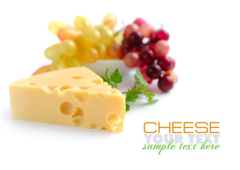 Piece of cheese is with greenery and vine on a white background