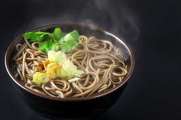 Japanese buckwheat noodles in hot soup