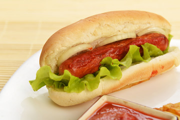 appetizing  hot dog