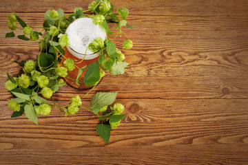 Pint and hop plant