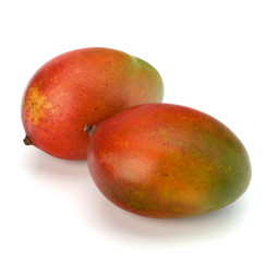 Mango fruit