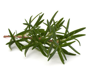 Sweet rosemary leaves