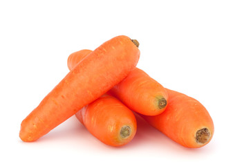 Carrot tubers