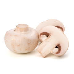 Champignon mushroom