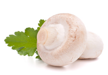 Champignon mushroom and parsley leaves
