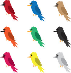 Nine different colored birds isolated